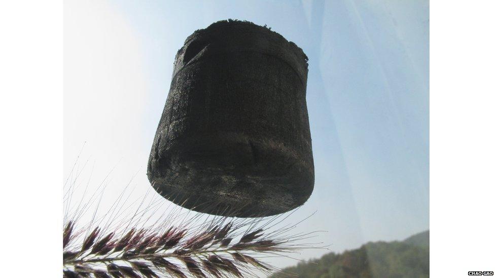 Carbon aerogel Credit: Chao Gao