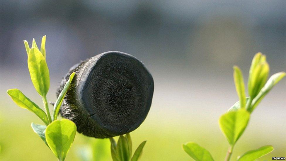 Carbon aerogel Credit: ZD News