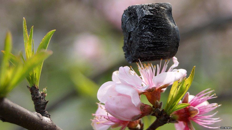 Carbon aerogel Credit: ZD News