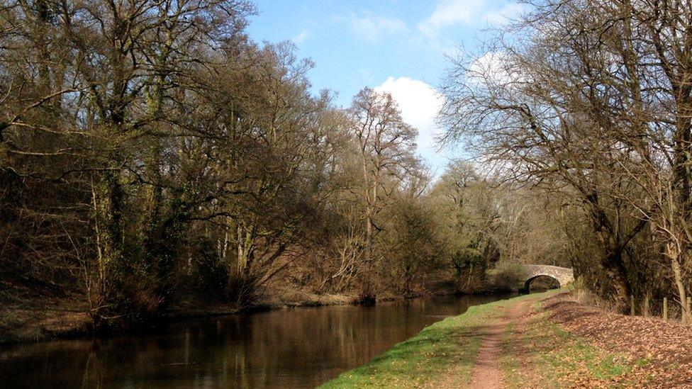 Monmouthshire and Brecon Canal near Pencelli, Powys