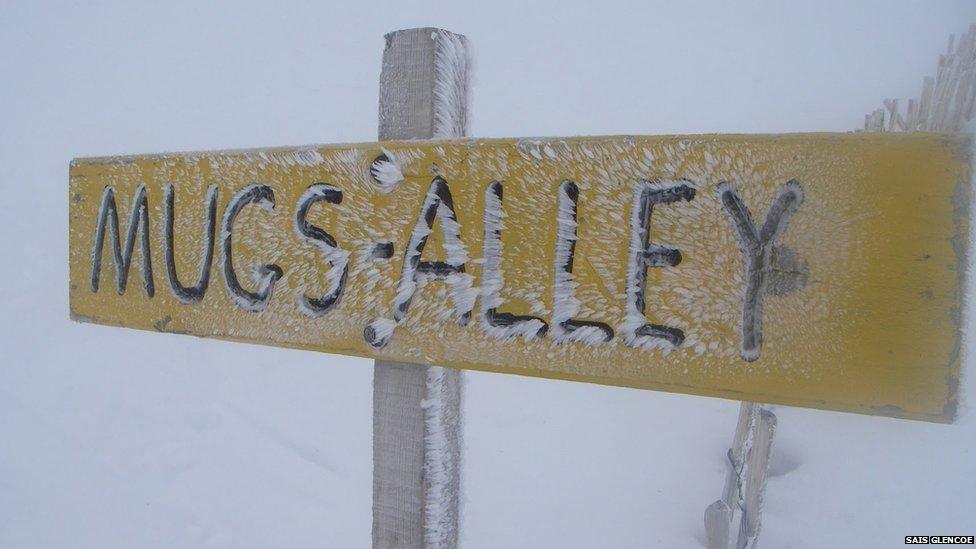 Rime ice on a sign in Glencoe