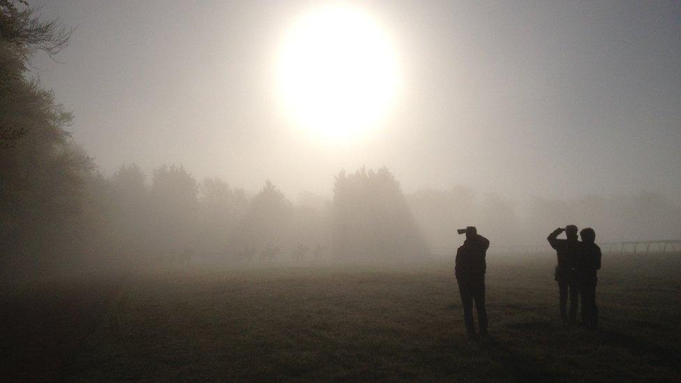 As British flat racing headquarters Newmarket gears up for a big weekend, BBC Sport's Frank Keogh goes behind the scenes at the gallops, racecourse, stud and museum