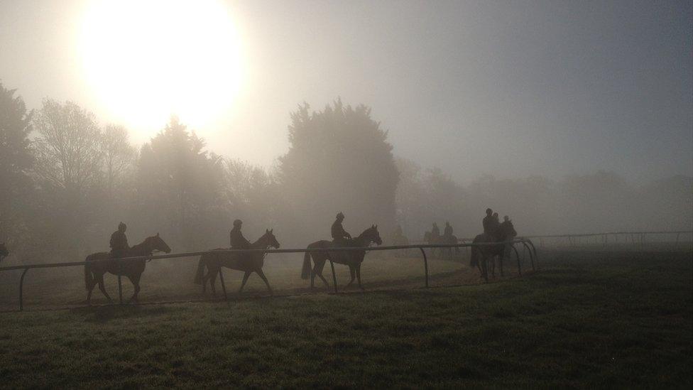 As dawn breaks on the renowned Limekilns gallops, horses are readied for training runs ahead of races including the 2000 Guineas for colts on Saturday and Sunday's 200th running of the fillies' Classic, the 1000 Guineas