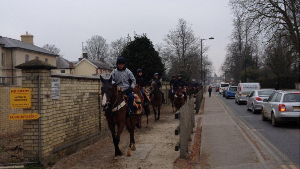 Traffic stops for thoroughbreds. There is roughly one racehorse for every six people in Newmarket. As well as 3,000 racing animals, another 2,500 horses are breeding at stud within a five-mile radius of a town which has about 18,000 human inhabitants