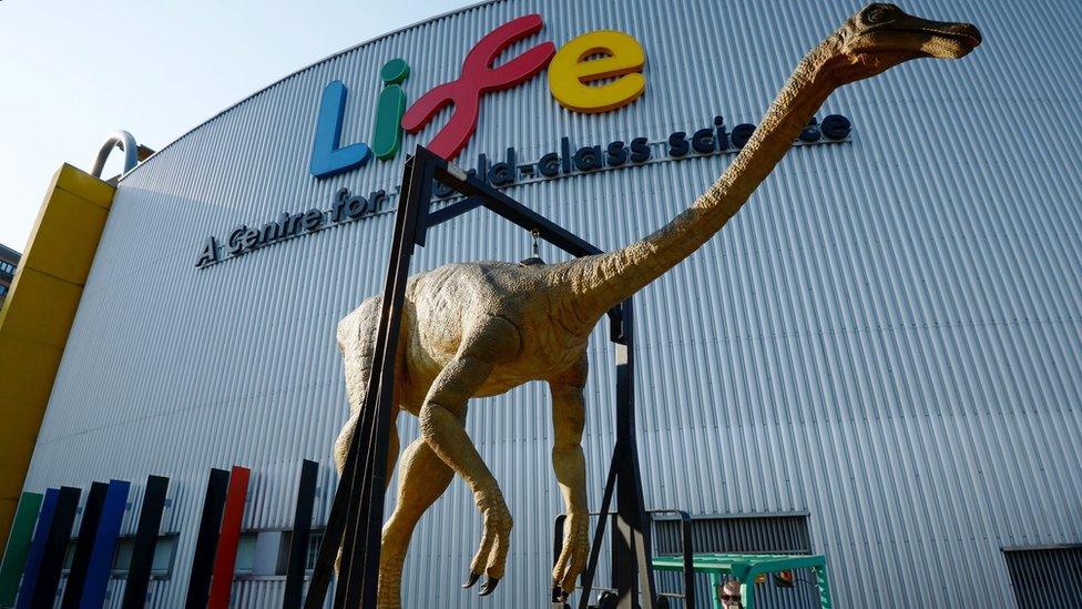 Dinosaur model arriving at Centre for Life