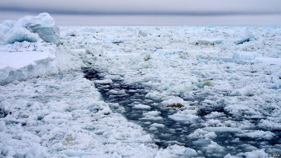 Ice covered sea