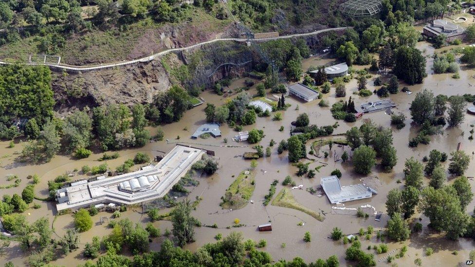 Flooded Prague Zoo on 14 June 2013