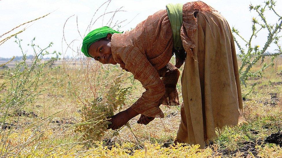 Photo: Alina Paul-Bossuet, Icrisat