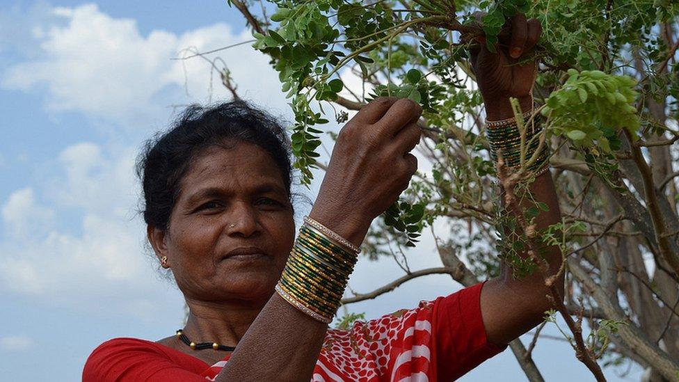 Photo: Alina Paul-Bossuet, Icrisat