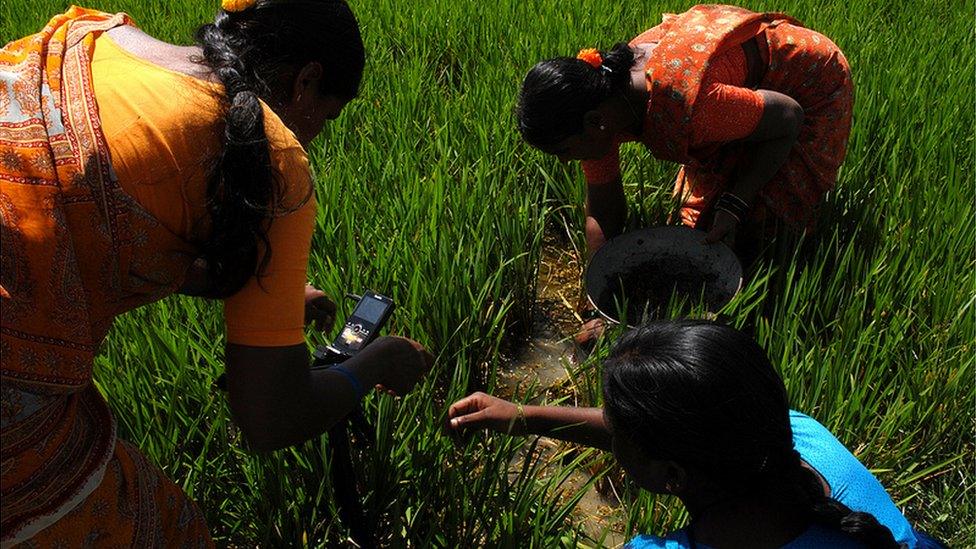 Photo: Alina Paul-Bossuet, Icrisat