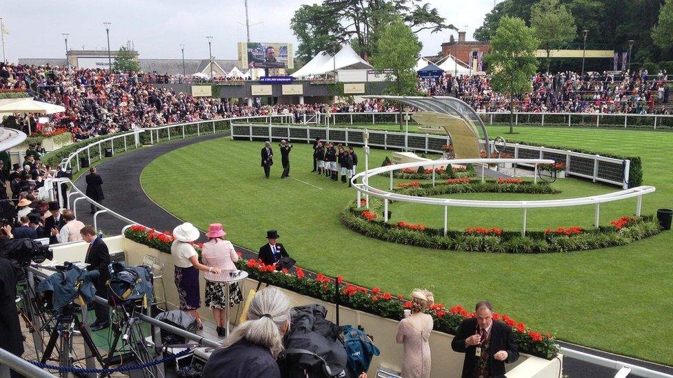 Parade ring at Royal Ascot