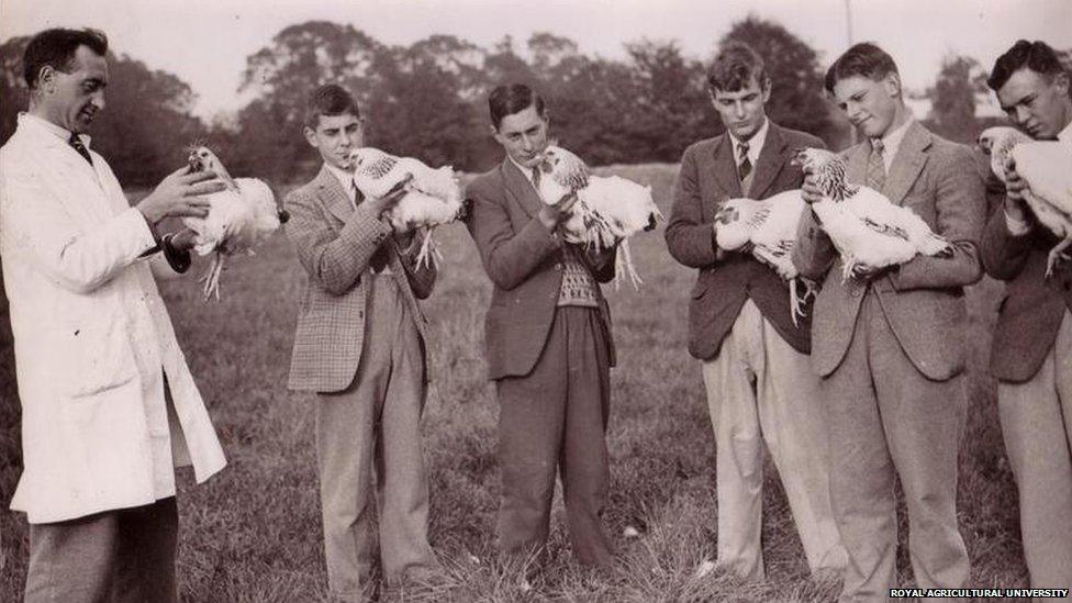 A poultry class in 1950