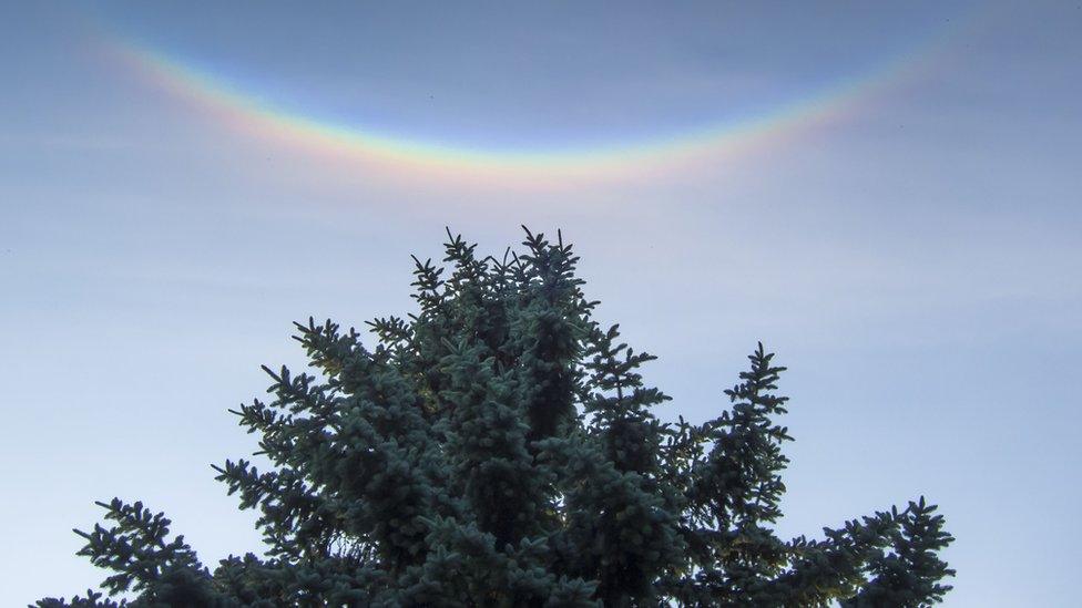 The top of a tree meets an upside down arc of a rainbow.