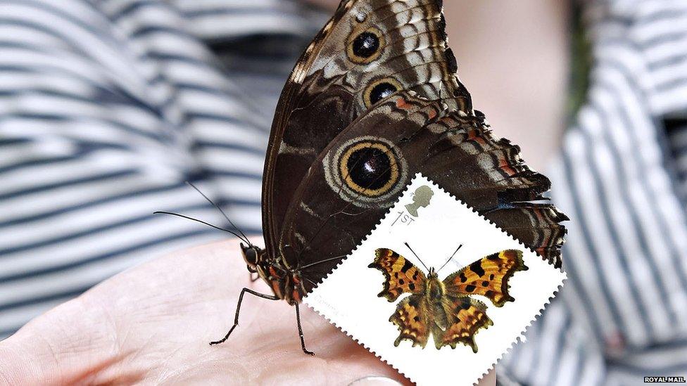 Butterfly stamp