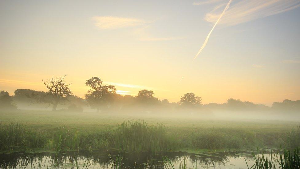 Your fantastic weather photos - BBC Weather