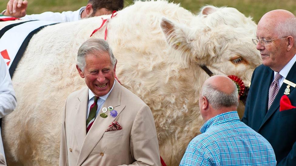 Prince Charles at the Royal Welsh Show, Builth Wells