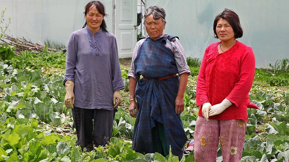 Three Bhutanese women wearing gloves in a vegetable patch.