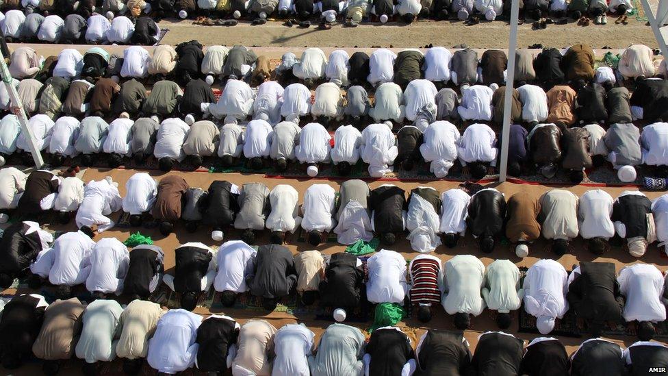 Row of men row in prayer in Zahedan, Iran Photo: Amir