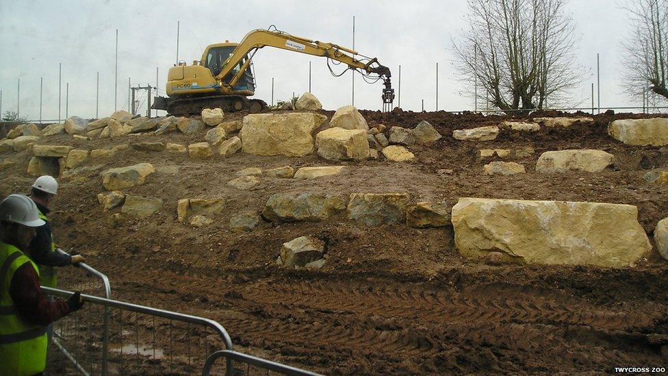 Crane digging the Himalaya enclosure