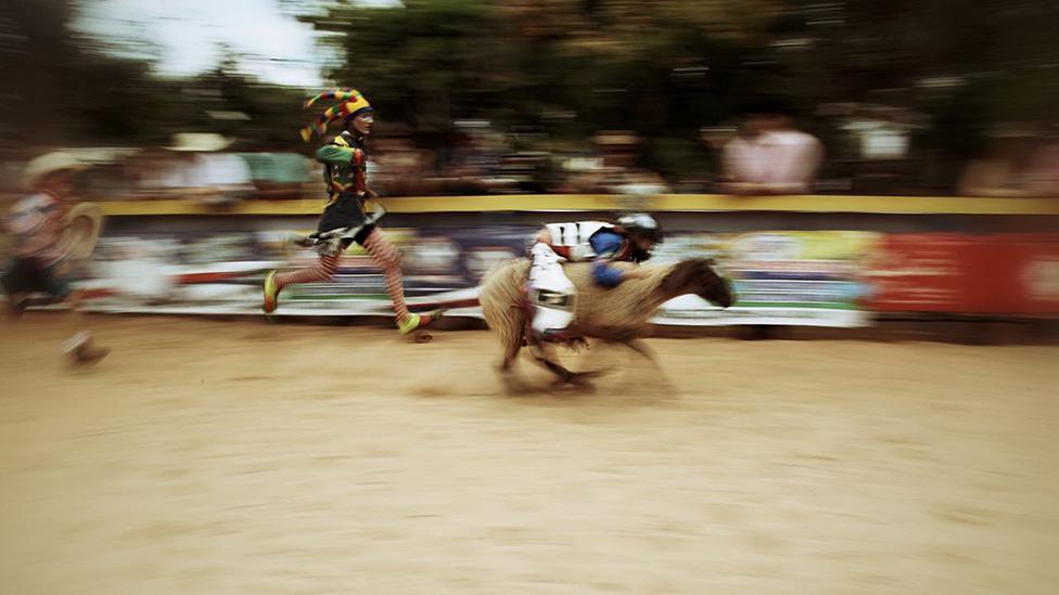 At Brazil's cowboy festival - Festa do Peao