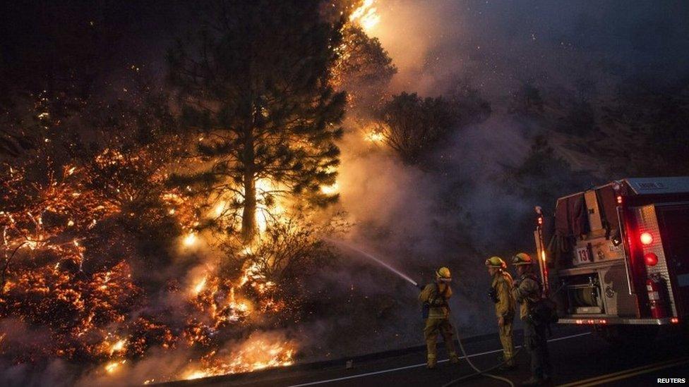 Firefighters hose down burning trees as the Rim Fire in California rages on, 25 August 2013
