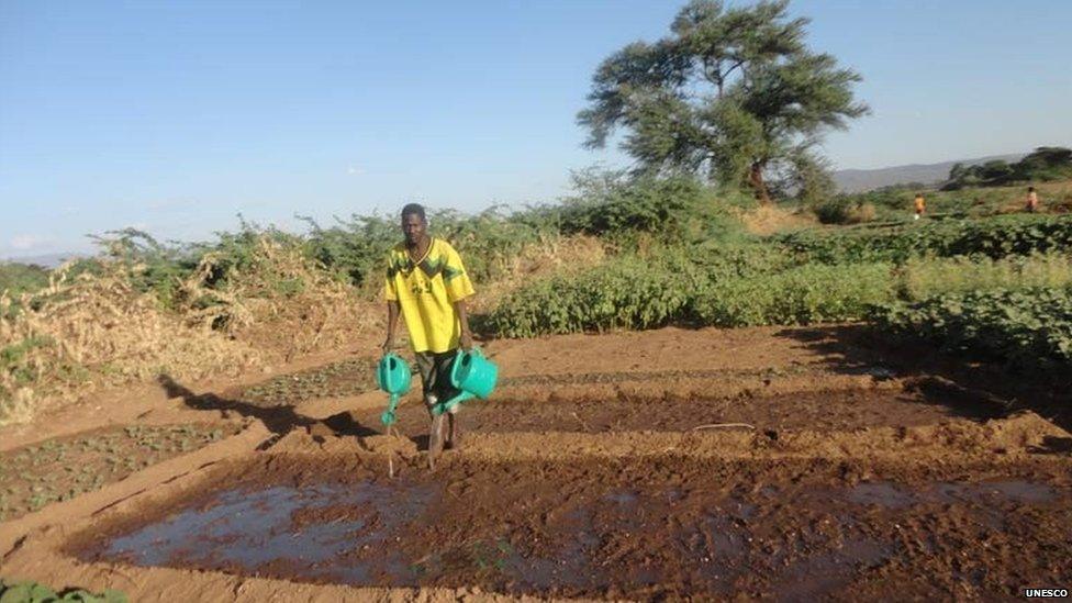 A member of the refugee community at the Kakuma refugee camp watering his vegetables, Turkana, Kenya