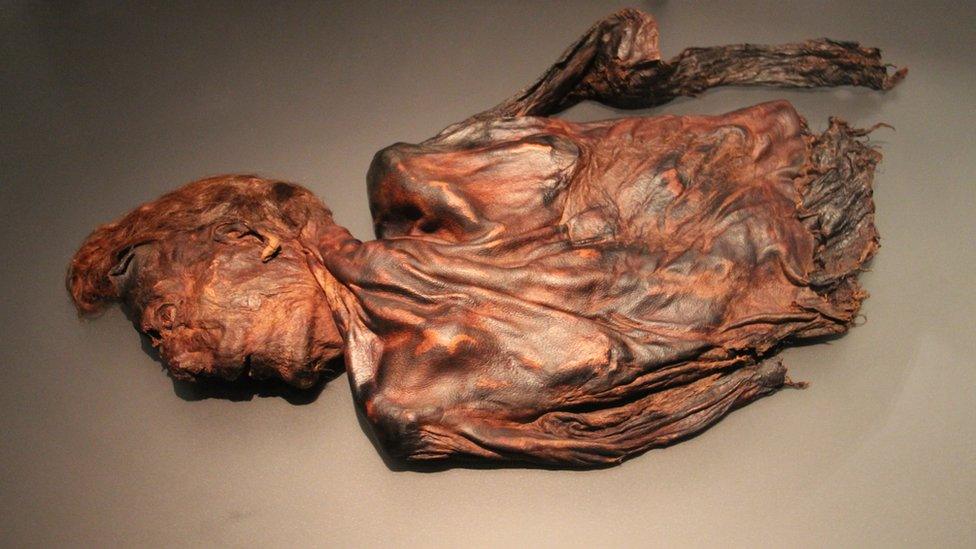 bog body