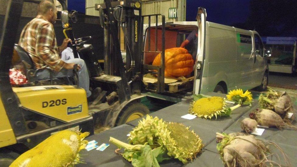 Man with forklift truck and a pumpkin