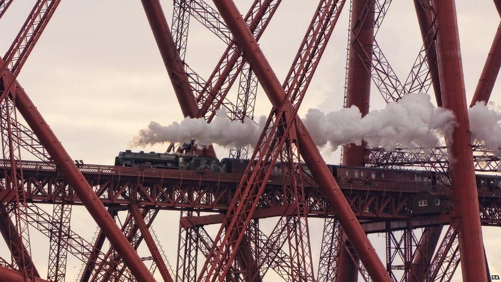 Caught in a Web of Iron by David Cation
