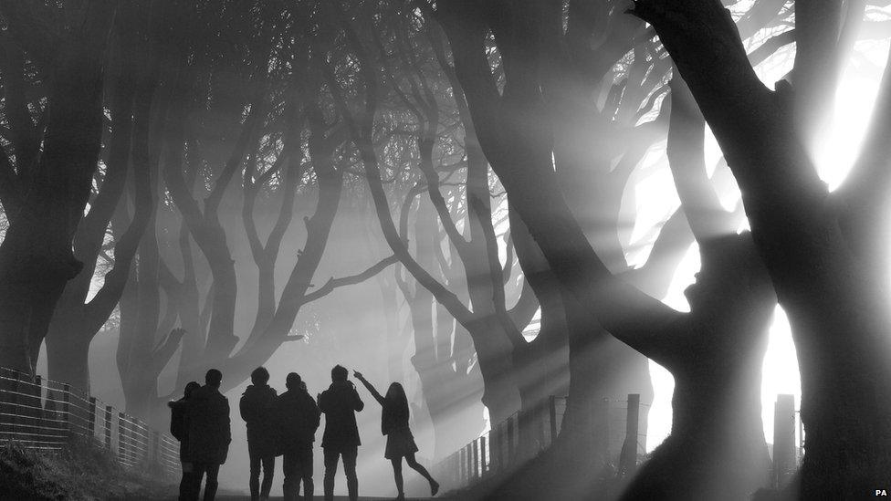 Mystical Morning by Bob McCallion winner of the Living the View category