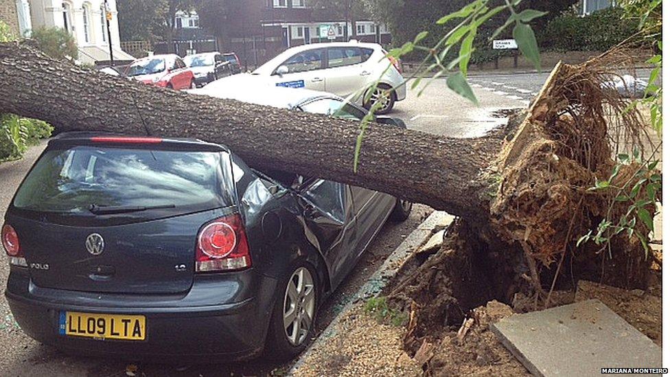 Mariana Monteiro sent in this image of a car hit by a fallen tree in north London