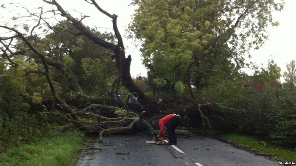 Tree fallen across road in Gloucestershire