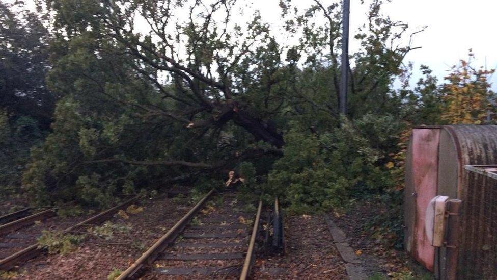 Tree on railway line in Keymer