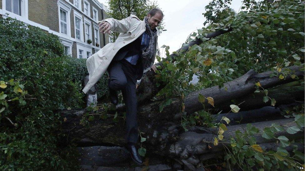 Man jumping over tree