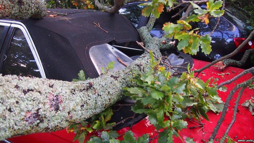 A branch on a car in Christchuch