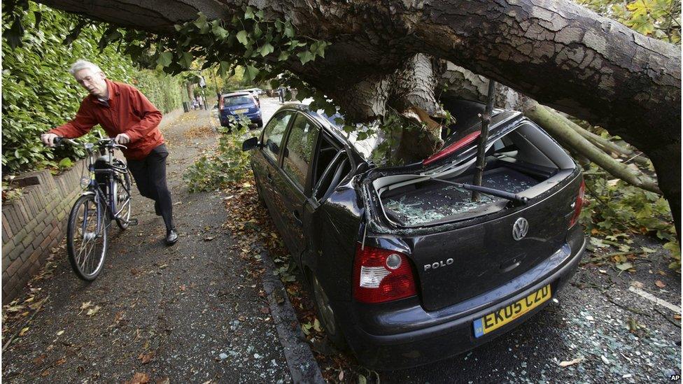 Man pushing bicycle under tree