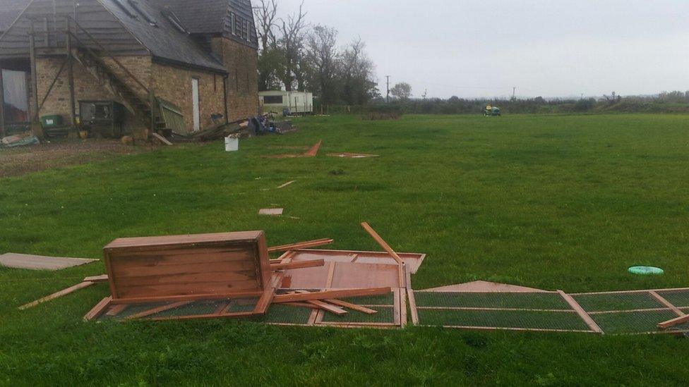 Destroyed rabbit hutch