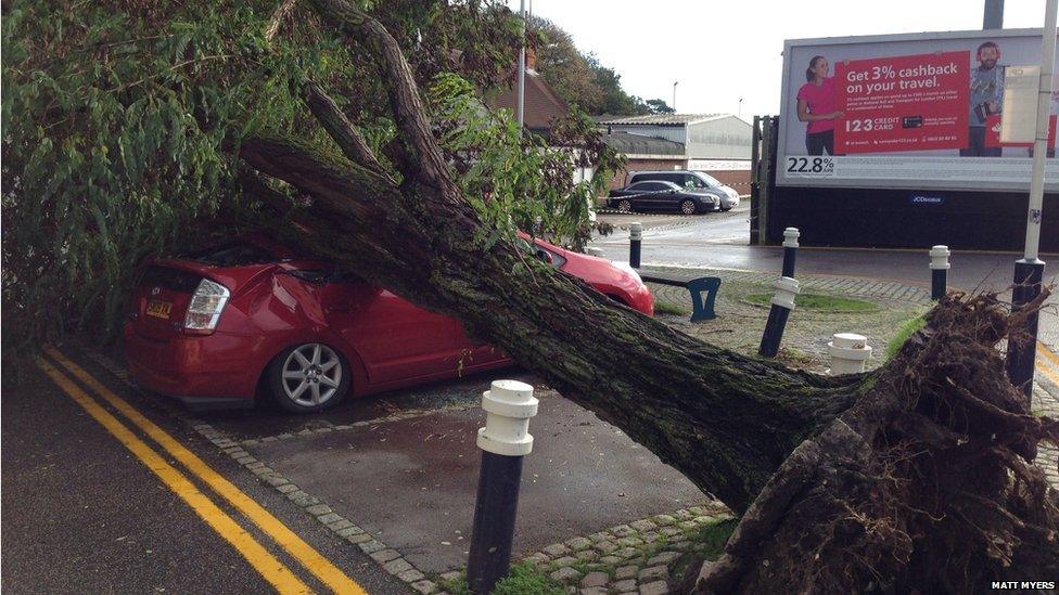 A huge uprooted tree smashes onto the roof of a car in Ascot. Photo: Matt Myers