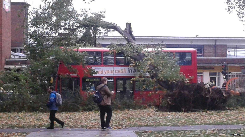 A tree lands on top of a bus. Photo: Adam Uren