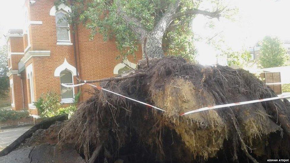 A tree damages a flat in the local Woking Mosque