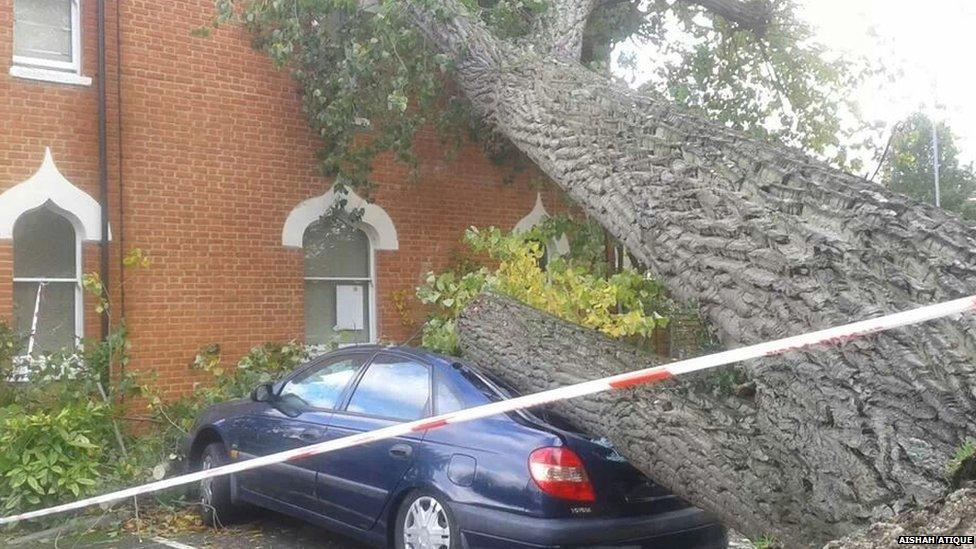 A tree has fallen onto a car and a flat at a mosque in Woking