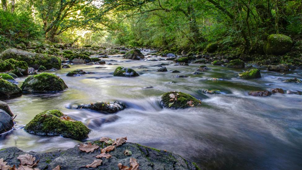 Adam Brooks of Swansea says he took this image of the River Twrch just as autumn was creeping in.