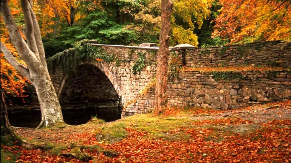 A photo of impressive autumn colours taken at Pont Ogwen, Bethesda by Richard Jones, from Caernarfon.