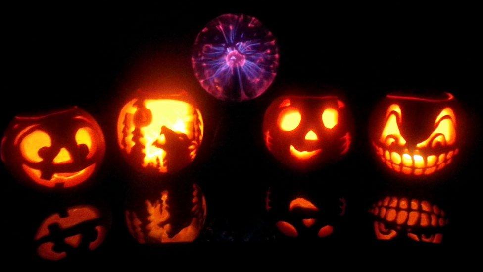 Carved pumpkins in a row