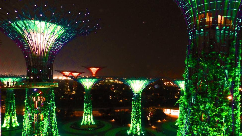 'Supertrees' lightshow in Singapore.