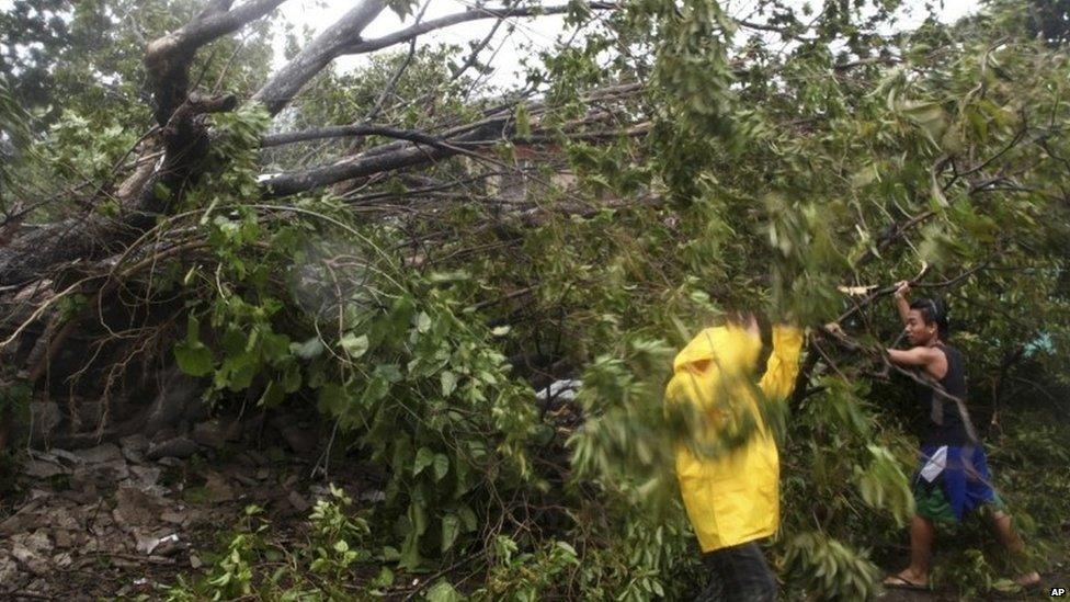 People clear trees