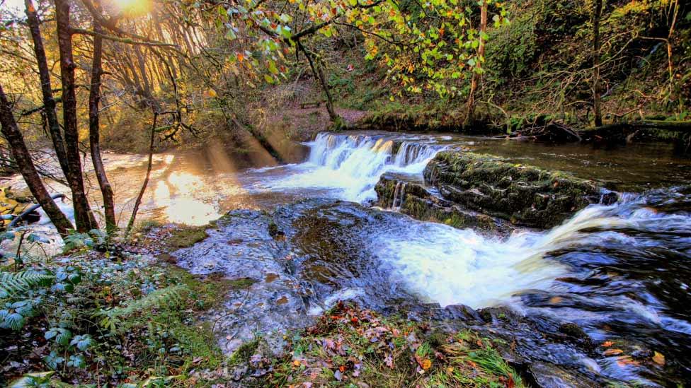 Waterfalls near Pontneddfechan, Powys