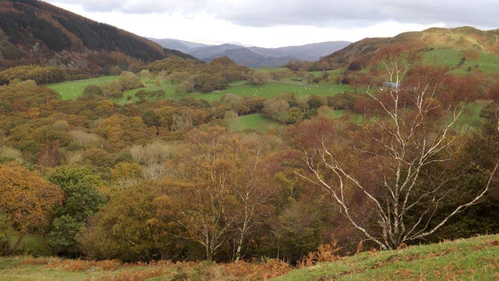 Valley viewed from slopes of Cadair Idris, Snowdonia