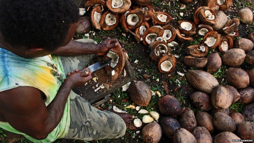 A man opens coconuts in Honiara, the capital city of Solomon Islands.