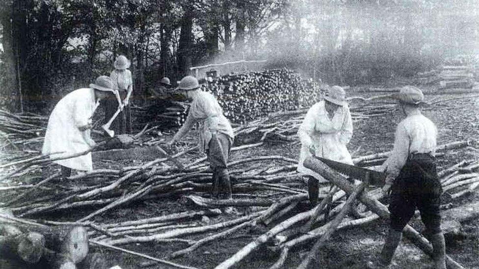 Land girls sawing logs